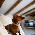 Casa Del Cuore - Attico Con Terrazza Appartamento