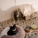 Casa Del Cuore - Attico Con Terrazza * Trieste